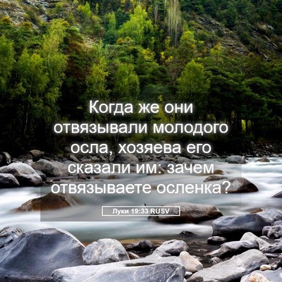 Picture 05 - Луки 19:33 RUSV - Когда же они отвязывали - Bible Verse Picture