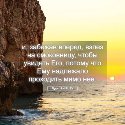 Picture 05 - Луки 19:4 RUSV - и, забежав вперед, взлез на - Bible Verse Picture