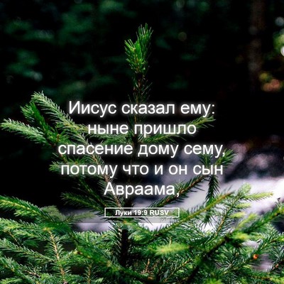 Picture 05 - Луки 19:9 RUSV - Иисус сказал ему: ныне - Bible Verse Picture