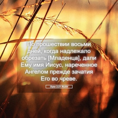 Picture 05 - Луки 2:21 RUSV - По прошествии восьми дней, - Bible Verse Picture