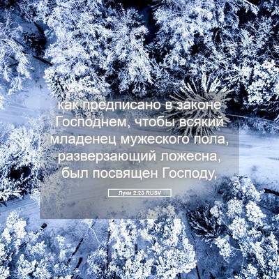 Picture 05 - Луки 2:23 RUSV - как предписано в законе - Bible Verse Picture