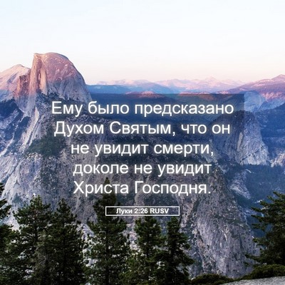 Picture 05 - Луки 2:26 RUSV - Ему было предсказано Духом - Bible Verse Picture