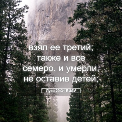 Picture 05 - Луки 20:31 RUSV - взял ее третий; также и все - Bible Verse Picture