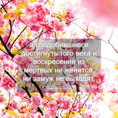 Picture 05 - Луки 20:35 RUSV - а сподобившиеся - Bible Verse Picture