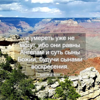Picture 05 - Луки 20:36 RUSV - и умереть уже не могут, ибо - Bible Verse Picture