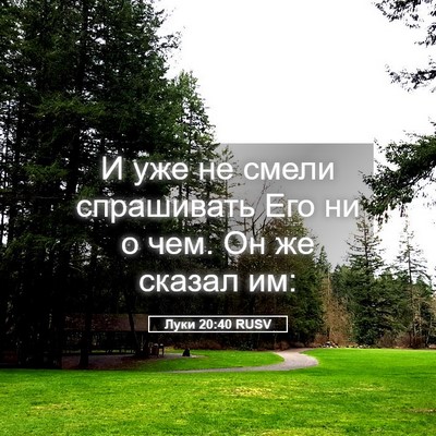 Picture 05 - Луки 20:40 RUSV - И уже не смели спрашивать - Bible Verse Picture