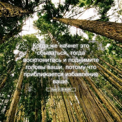 Picture 05 - Луки 21:28 RUSV - Когда же начнет это - Bible Verse Picture