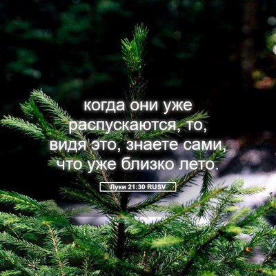 Picture 05 - Луки 21:30 RUSV - когда они уже - Bible Verse Picture
