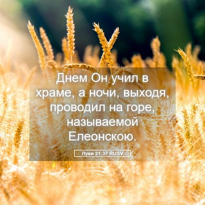 Picture 05 - Луки 21:37 RUSV - Днем Он учил в храме, а - Bible Verse Picture