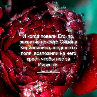 Picture 05 - Луки 23:26 RUSV - И когда повели Его, то, - Bible Verse Picture