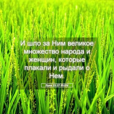 Picture 05 - Луки 23:27 RUSV - И шло за Ним великое - Bible Verse Picture