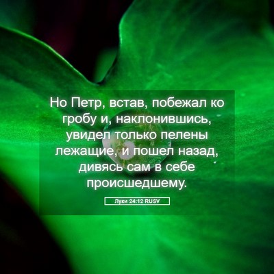 Picture 05 - Луки 24:12 RUSV - Но Петр, встав, побежал ко - Bible Verse Picture