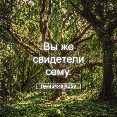 Picture 05 - Луки 24:48 RUSV - Вы же свидетели - Bible Verse Picture