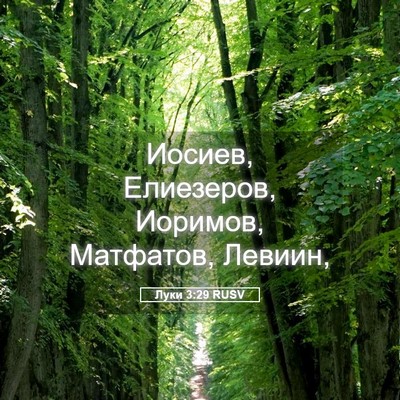Picture 05 - Луки 3:29 RUSV - Иосиев, Елиезеров, Иоримов, - Bible Verse Picture