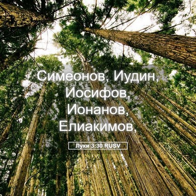 Picture 05 - Луки 3:30 RUSV - Симеонов, Иудин, Иосифов, - Bible Verse Picture
