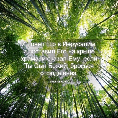 Picture 05 - Луки 4:9 RUSV - И повел Его в Иерусалим, и - Bible Verse Picture