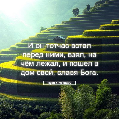 Picture 05 - Луки 5:25 RUSV - И он тотчас встал перед - Bible Verse Picture