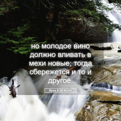 Picture 05 - Луки 5:38 RUSV - но молодое вино должно - Bible Verse Picture