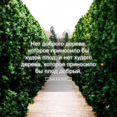 Picture 05 - Луки 6:43 RUSV - Нет доброго дерева, - Bible Verse Picture