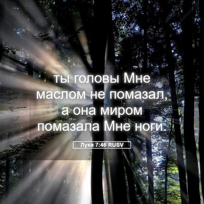 Picture 05 - Луки 7:46 RUSV - ты головы Мне маслом не - Bible Verse Picture