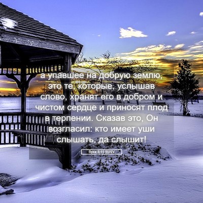 Picture 05 - Луки 8:15 RUSV - а упавшее на добрую землю, - Bible Verse Picture