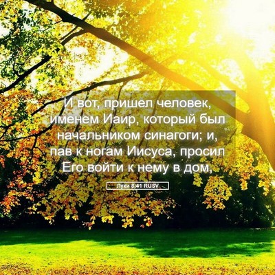 Picture 05 - Луки 8:41 RUSV - И вот, пришел человек, - Bible Verse Picture