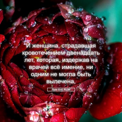 Picture 05 - Луки 8:43 RUSV - И женщина, страдавшая - Bible Verse Picture