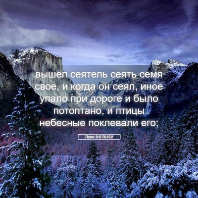 Picture 05 - Луки 8:5 RUSV - вышел сеятель сеять семя - Bible Verse Picture