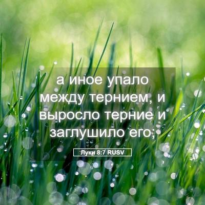Picture 05 - Луки 8:7 RUSV - а иное упало между тернием, - Bible Verse Picture