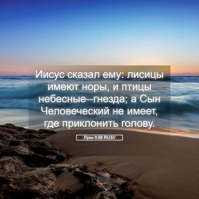 Picture 05 - Луки 9:58 RUSV - Иисус сказал ему: лисицы - Bible Verse Picture