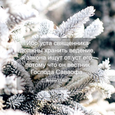 Picture 05 - Малахия 2:7 RUSV - Ибо уста священника должны - Bible Verse Picture