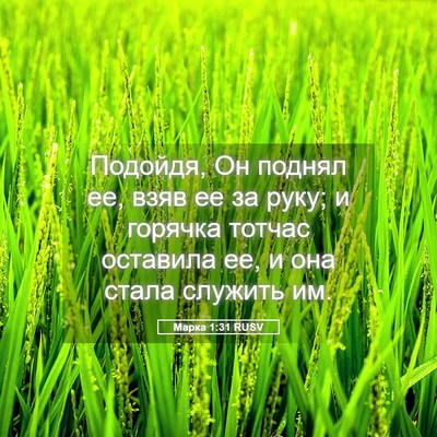 Picture 05 - Марка 1:31 RUSV - Подойдя, Он поднял ее, взяв - Bible Verse Picture
