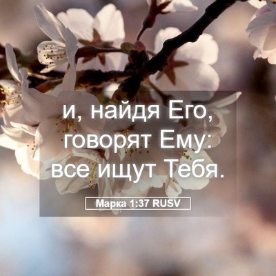 Picture 05 - Марка 1:37 RUSV - и, найдя Его, говорят Ему: - Bible Verse Picture