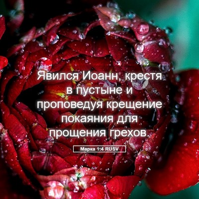 Picture 05 - Марка 1:4 RUSV - Явился Иоанн, крестя в - Bible Verse Picture