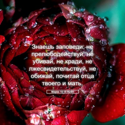 Picture 05 - Марка 10:19 RUSV - Знаешь заповеди: не - Bible Verse Picture