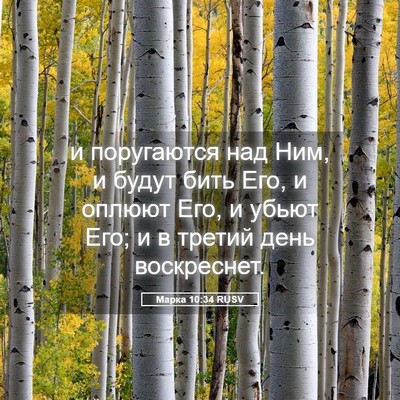 Picture 05 - Марка 10:34 RUSV - и поругаются над Ним, и - Bible Verse Picture