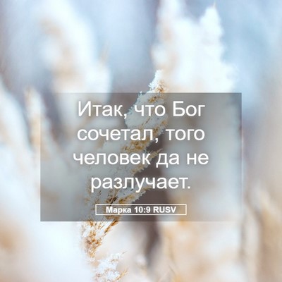 Picture 05 - Марка 10:9 RUSV - Итак, что Бог сочетал, того - Bible Verse Picture