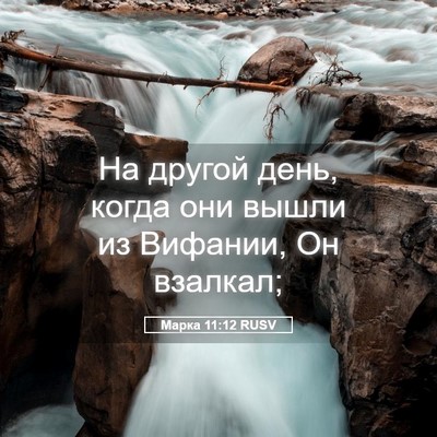 Picture 05 - Марка 11:12 RUSV - На другой день, когда они - Bible Verse Picture