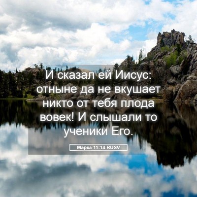 Picture 05 - Марка 11:14 RUSV - И сказал ей Иисус: отныне - Bible Verse Picture