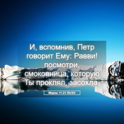 Picture 05 - Марка 11:21 RUSV - И, вспомнив, Петр говорит - Bible Verse Picture