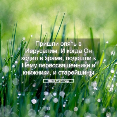 Picture 05 - Марка 11:27 RUSV - Пришли опять в Иерусалим. И - Bible Verse Picture