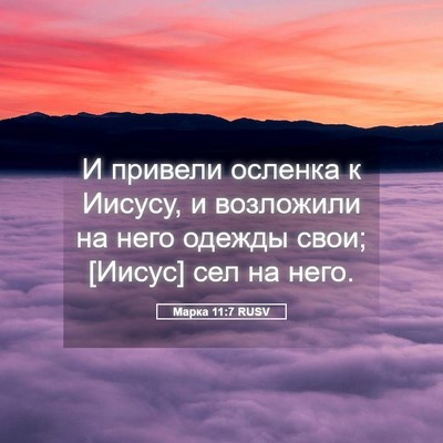 Picture 05 - Марка 11:7 RUSV - И привели осленка к Иисусу, - Bible Verse Picture