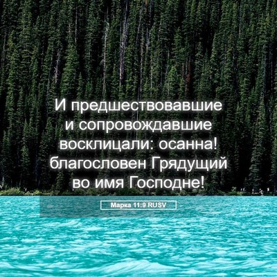 Picture 05 - Марка 11:9 RUSV - И предшествовавшие и - Bible Verse Picture