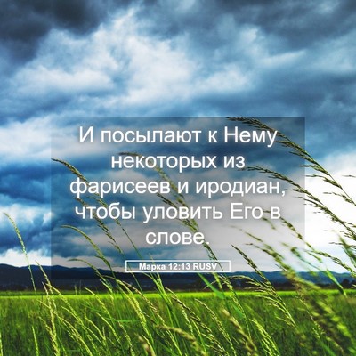 Picture 05 - Марка 12:13 RUSV - И посылают к Нему - Bible Verse Picture