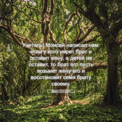 Picture 05 - Марка 12:19 RUSV - Учитель! Моисей написал - Bible Verse Picture