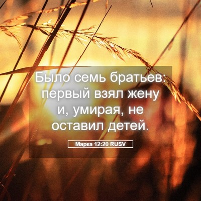 Picture 05 - Марка 12:20 RUSV - Было семь братьев: первый - Bible Verse Picture