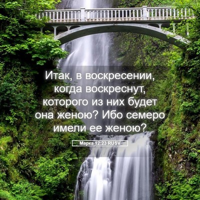Picture 05 - Марка 12:23 RUSV - Итак, в воскресении, когда - Bible Verse Picture