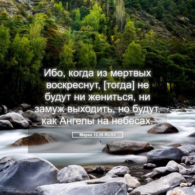 Picture 05 - Марка 12:25 RUSV - Ибо, когда из мертвых - Bible Verse Picture