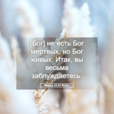 Picture 05 - Марка 12:27 RUSV - [Бог] не есть Бог мертвых, - Bible Verse Picture