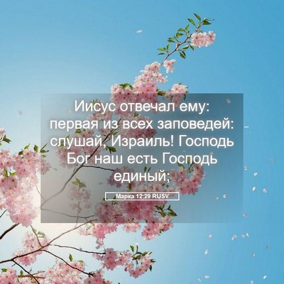 Picture 05 - Марка 12:29 RUSV - Иисус отвечал ему: первая - Bible Verse Picture